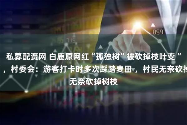 私募配资网 白鹿原网红“孤独树”被砍掉枝叶变“秃头”，村委会：游客打卡时多次踩踏麦田 ，村民无奈砍掉树枝