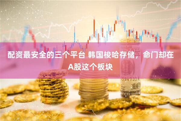 配资最安全的三个平台 韩国梭哈存储，命门却在A股这个板块